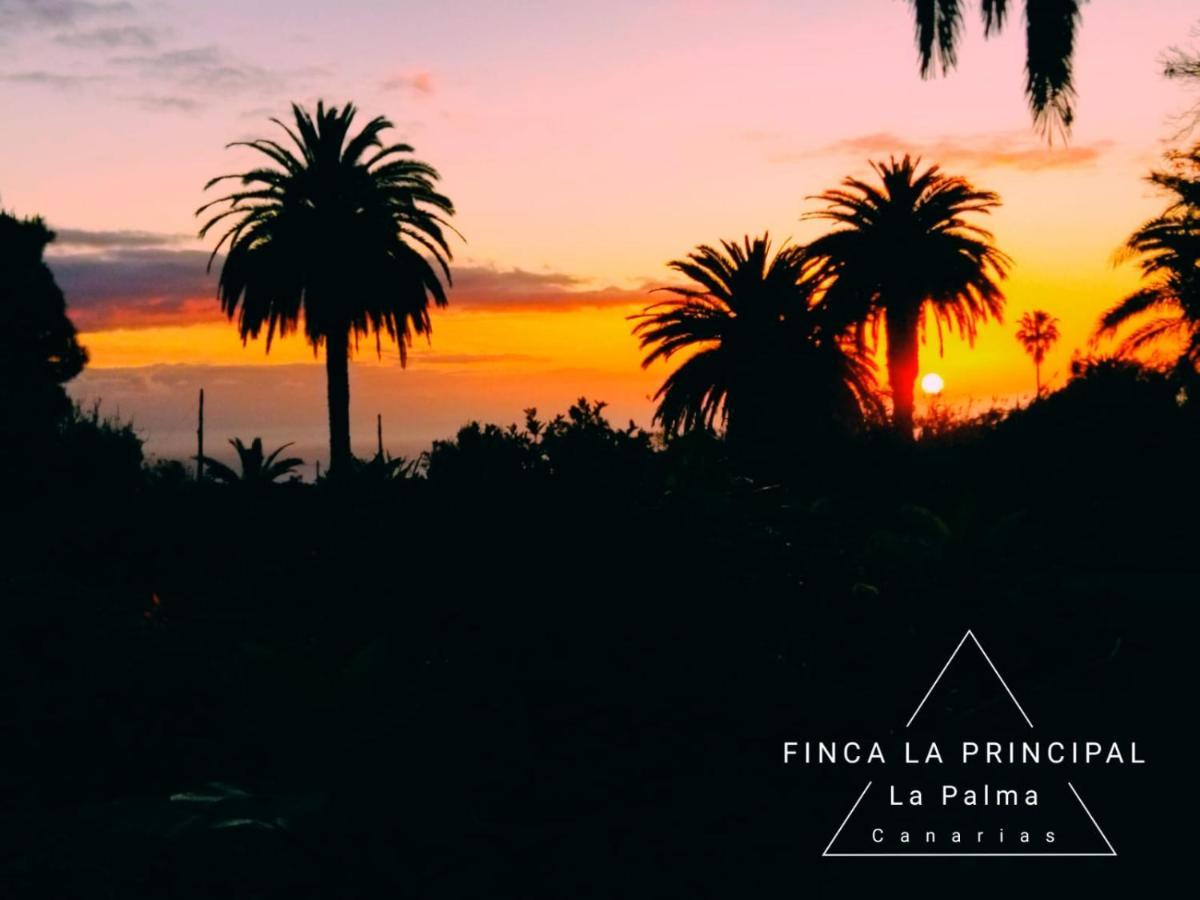 Finca La Principal Brena Alta Bagian luar foto