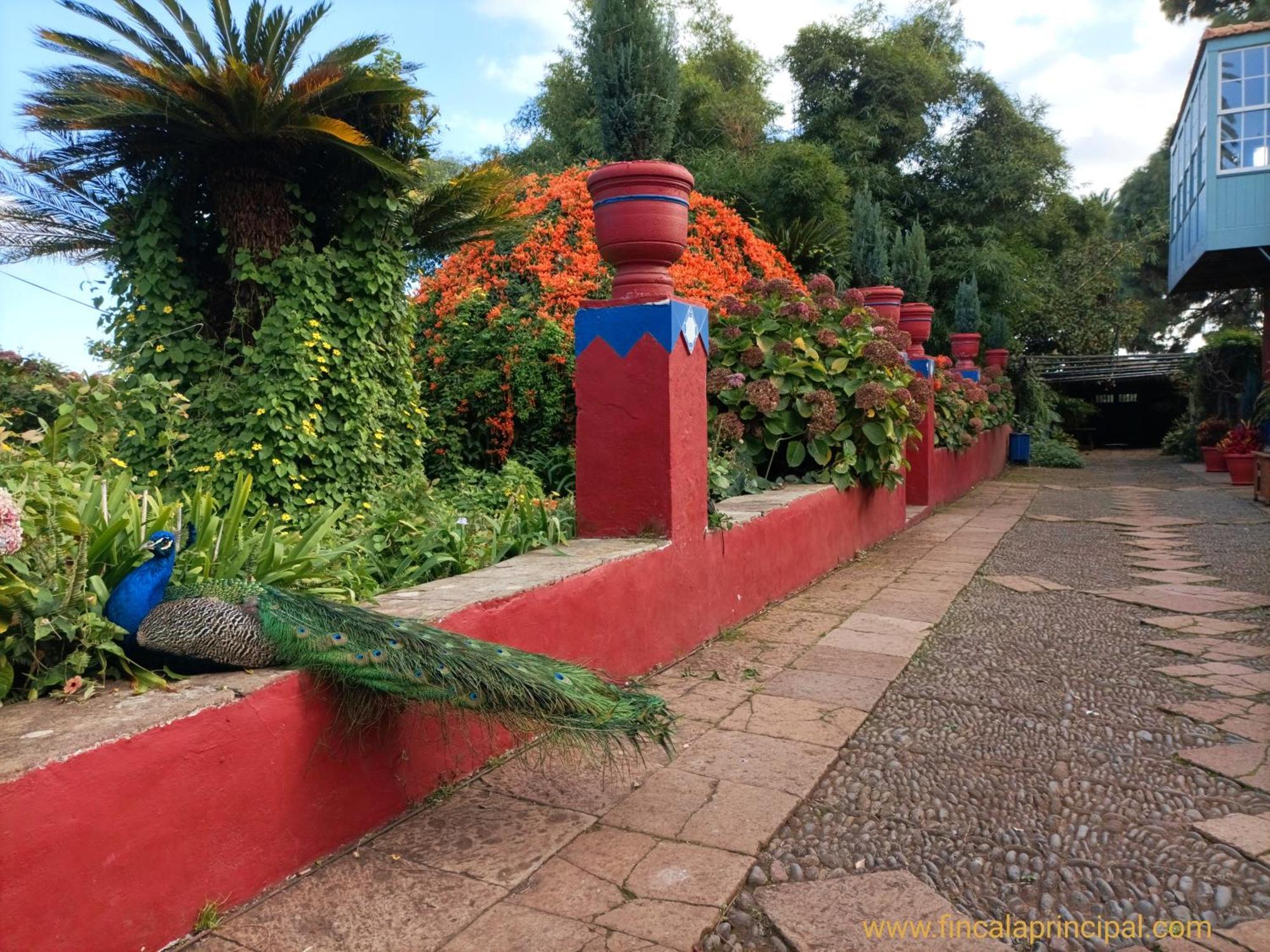 Finca La Principal Brena Alta Bagian luar foto