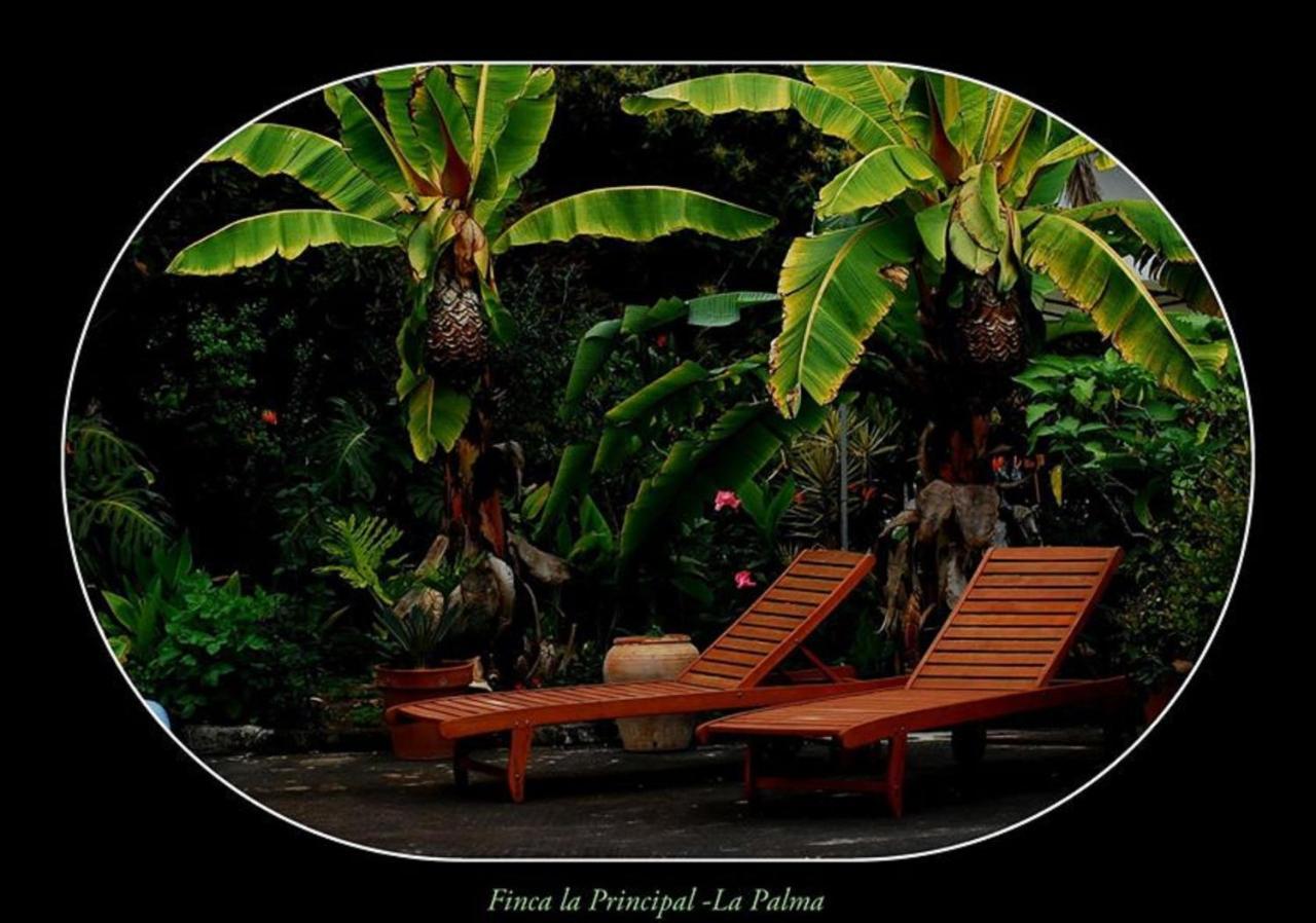 Finca La Principal Brena Alta Bagian luar foto