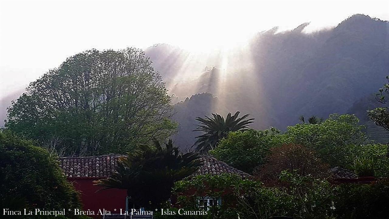 Finca La Principal Brena Alta Bagian luar foto